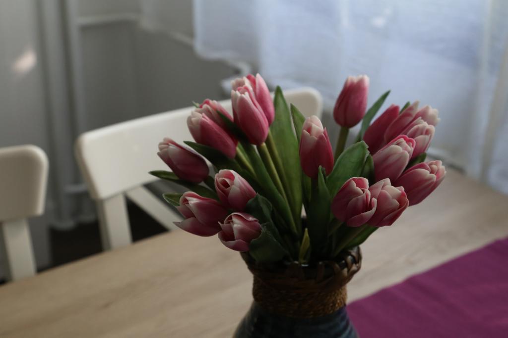 Joop Apartment Zagreb Ngoại thất bức ảnh